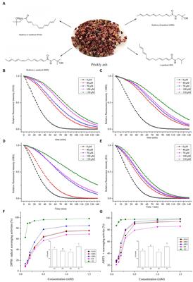 Sanshools from Zanthoxylum genus and their antioxidant properties in vitro and in vivo